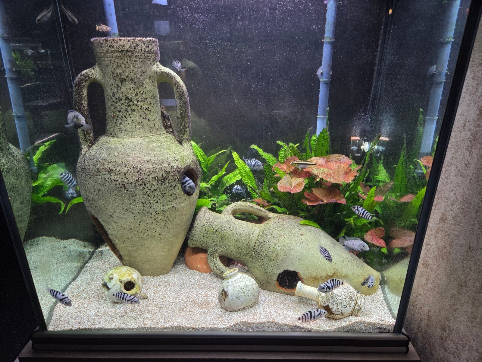 aquarium + meubel aquatlantis, Ophalen, Pomp, Aquatlantis