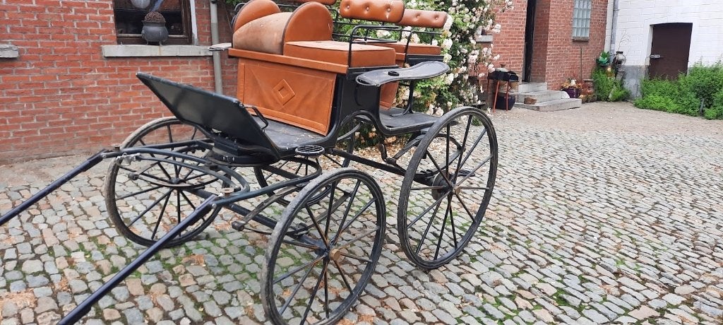 Koets n enkelspan  paard, grote ponny, Dieren en Toebehoren, Rijtuigen en Koetsen, Gebruikt, Marathonwagen, Paard of Pony