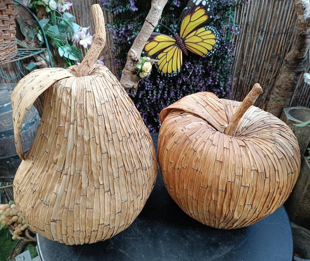 Design fruit appel en peer uit zeegras te koop., Ophalen of Verzenden