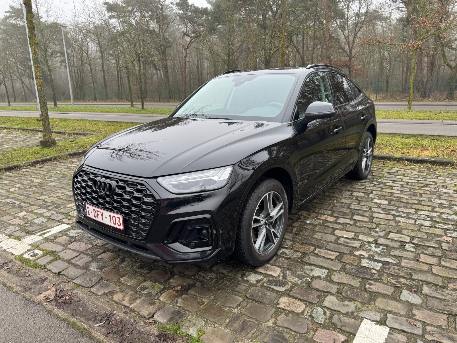 Audi Q5 50 TFSIe Sportback quattro (SQ5 look) BTW Wagen, Auto's, Audi, Automaat, Euro 6, 4 cilinders, Q5
