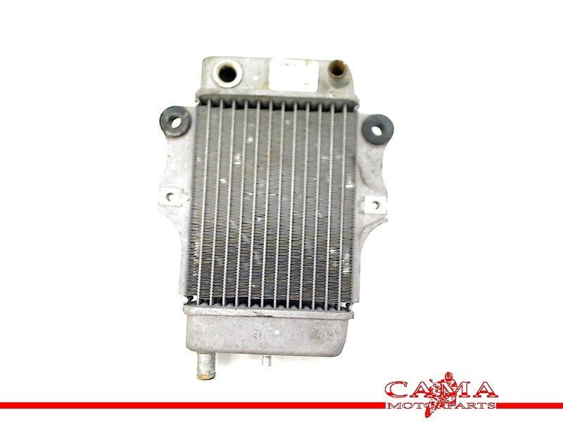 RADIATEUR Honda SES 150 Dylan (SES150) (01-1970/-) (614030), Motoren, Dhr. S. di Majo, Gebruikt, Info@cama-motorparts.nl, P.J. Troelstraweg 8 8
3144 CX  MAASSLUIS, NL