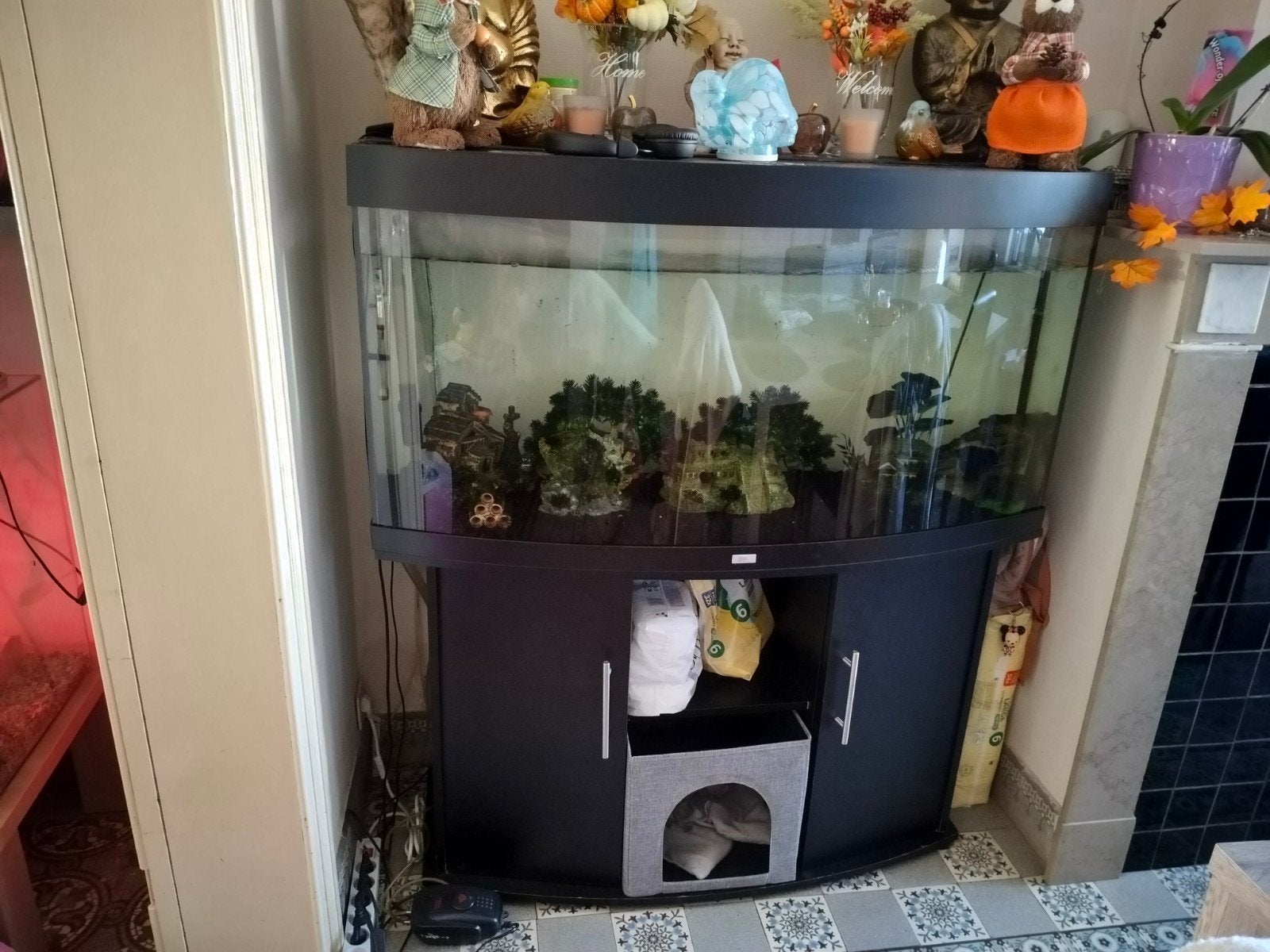 aquarium, Dieren en Toebehoren, Zoetwatervis