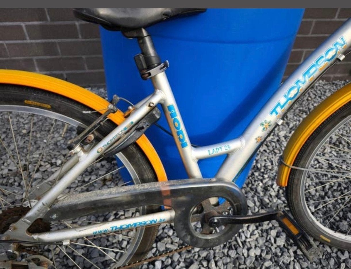 Vélo Thompson 24 pouces pour enfants (7 à 11 ans) - tout fon, Enlèvement