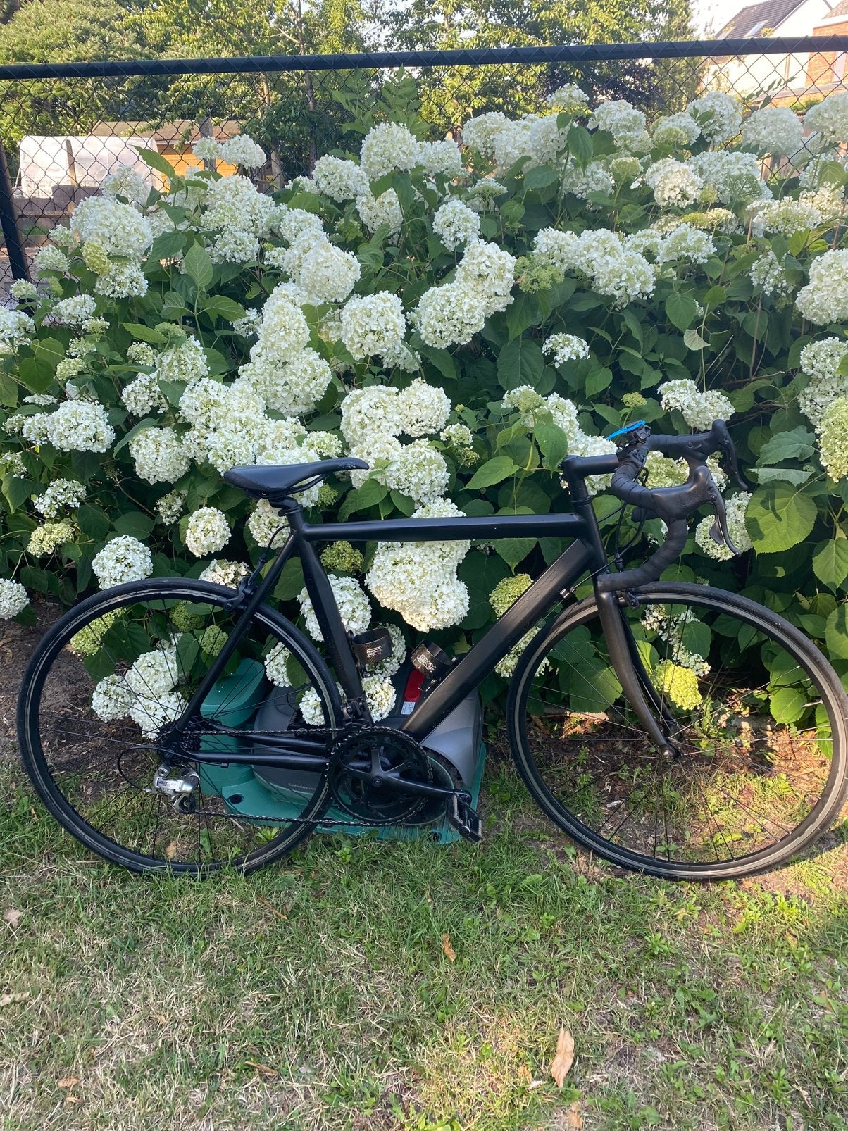 Zwarte U.Scanini koersfiets, 26 pouces, 10 à 15 vitesses, Frein sur jante, 57 à 61 cm