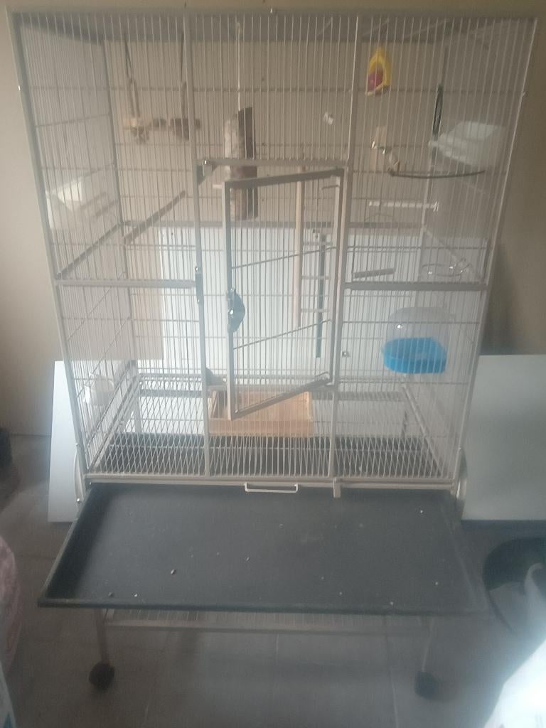 Vogelkooi, Enlèvement, Comme neuf, Métal, Cage à oiseaux