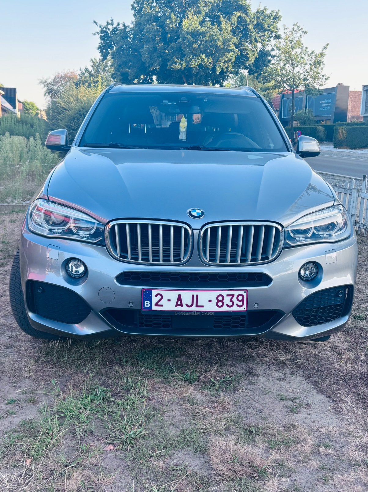 BMW X5 hybride 2016, Cuir, Argent ou Gris, Achat, 2 g/km