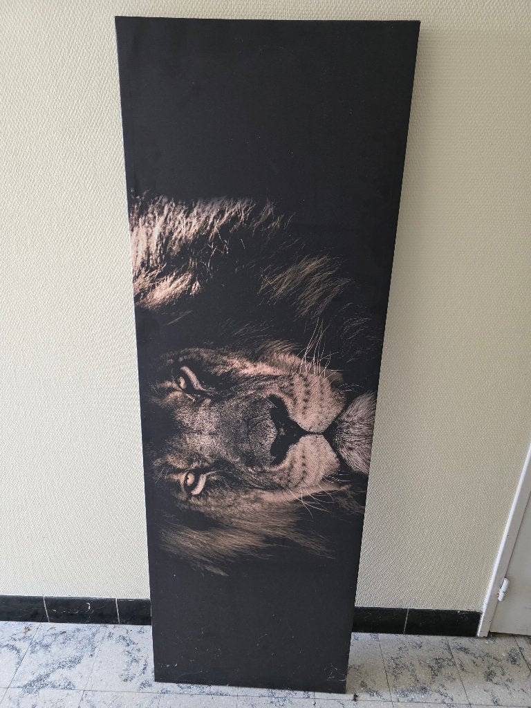 Kader ( leeuw ), Ophalen, 35 cm, Gebruikt, 120 cm