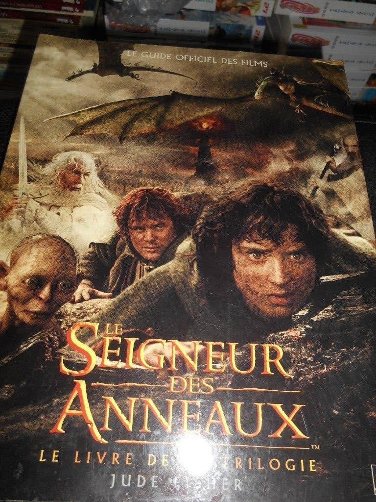 Le Seigneur des Anneaux le livre de la trilogie, Enlèvement ou Envoi