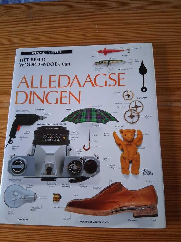Beeldwoordenboek van alledaagse dingen, Ophalen of Verzenden, Nederlands