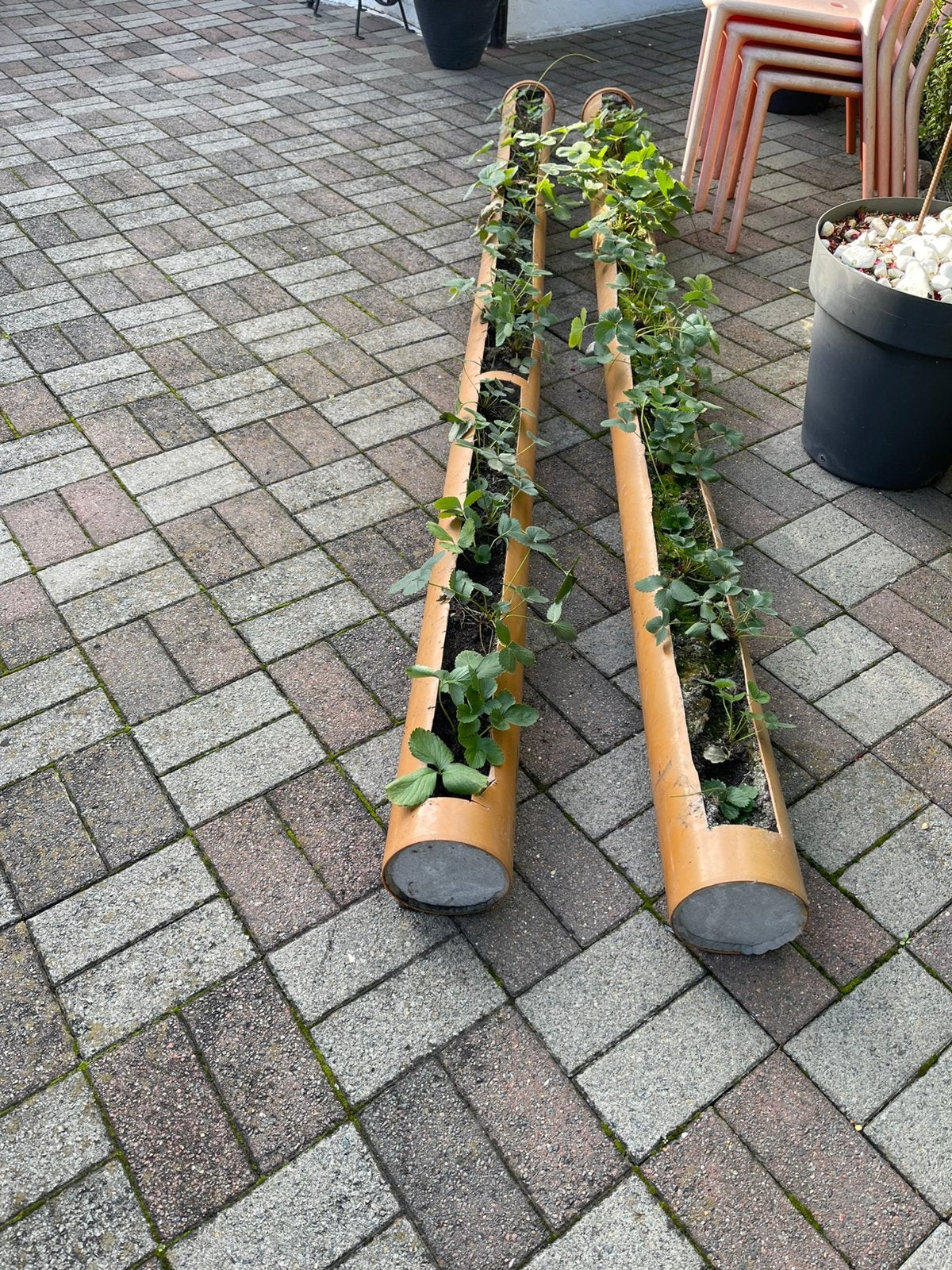 Speciale 2 grote aardbeienpotten, Tuin en Terras, Ophalen