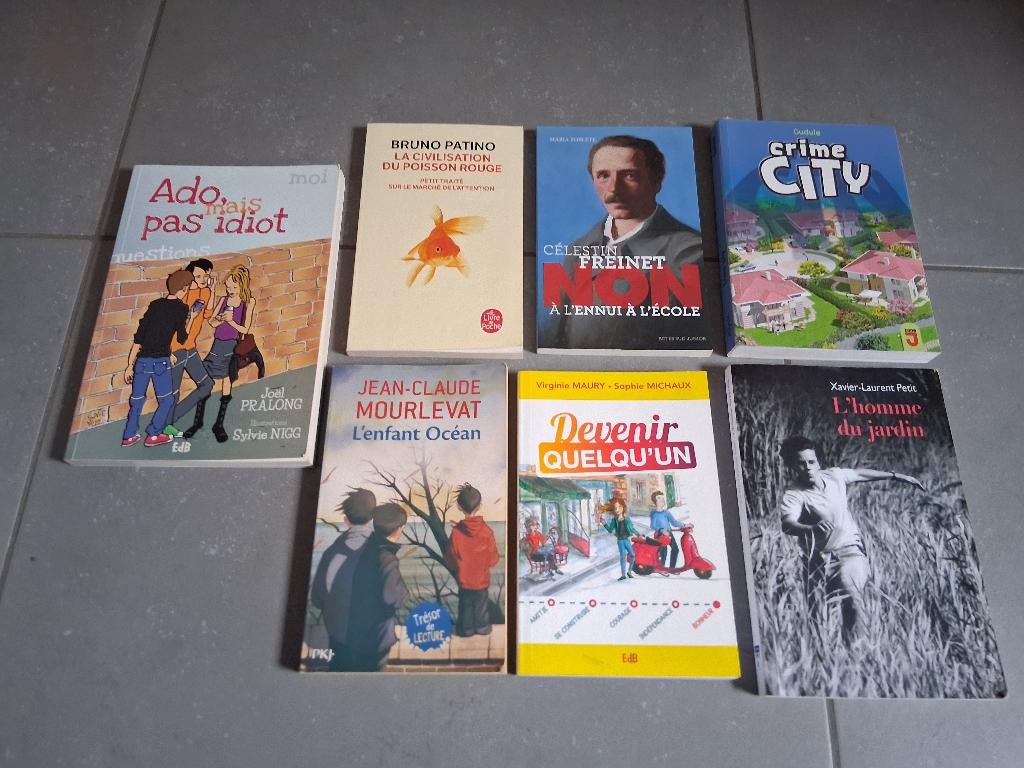 Livres lectures scolaires, Enlèvement ou Envoi, Comme neuf, Secondaire, Français