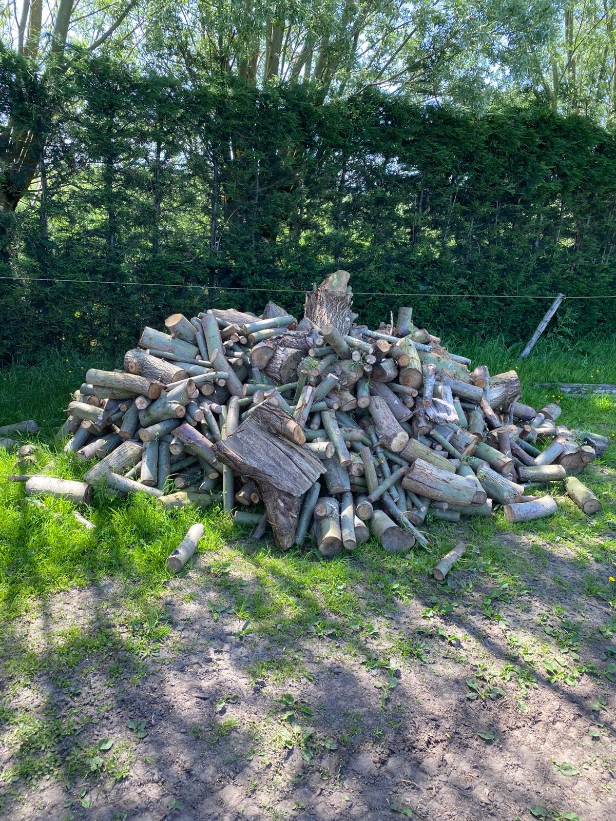 4 kuub knotwilg, 3 à 6 m³, Enlèvement, Autres essences de bois, Bûches