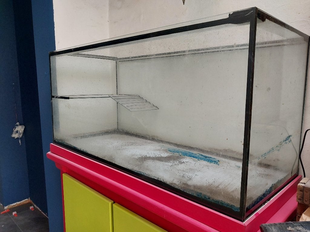 Acquarium/Terrarium, Enlèvement, Utilisé, Aquarium vide