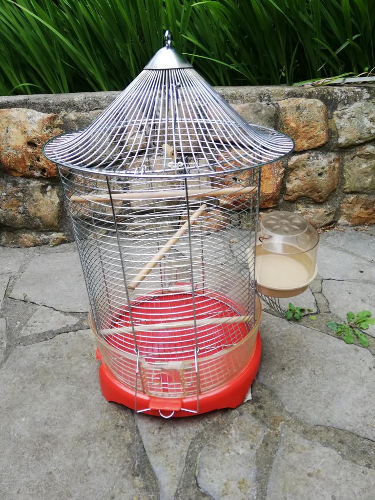 Cage à oiseau, Enlèvement