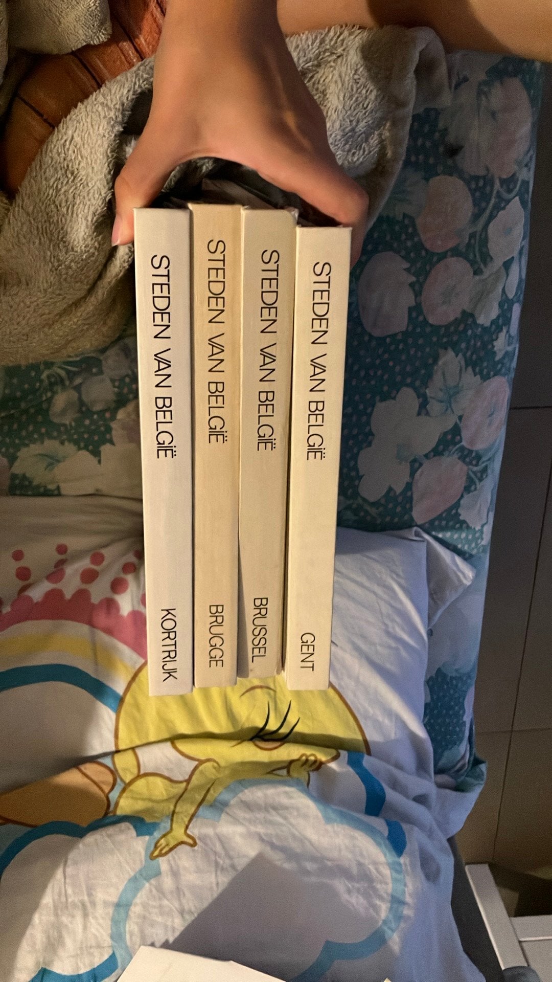 Geschiedenisboeken, Boeken, Ophalen, 14e eeuw of eerder, Gelezen