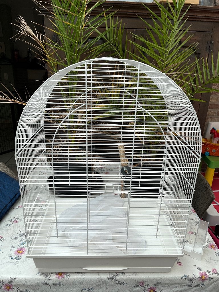 Vogelkooi, Ophalen, Zo goed als nieuw, Metaal, Vogelkooi