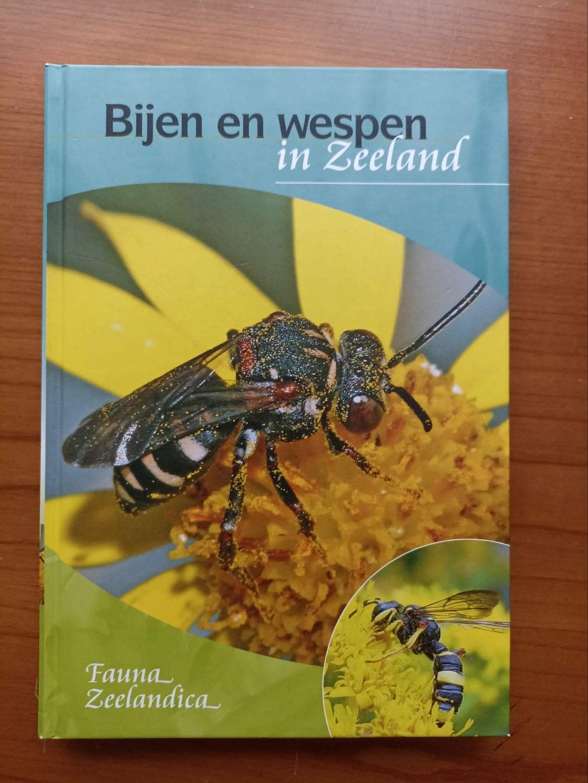 boek bijnen en wespen in Zeeland, Boeken, Ophalen of Verzenden