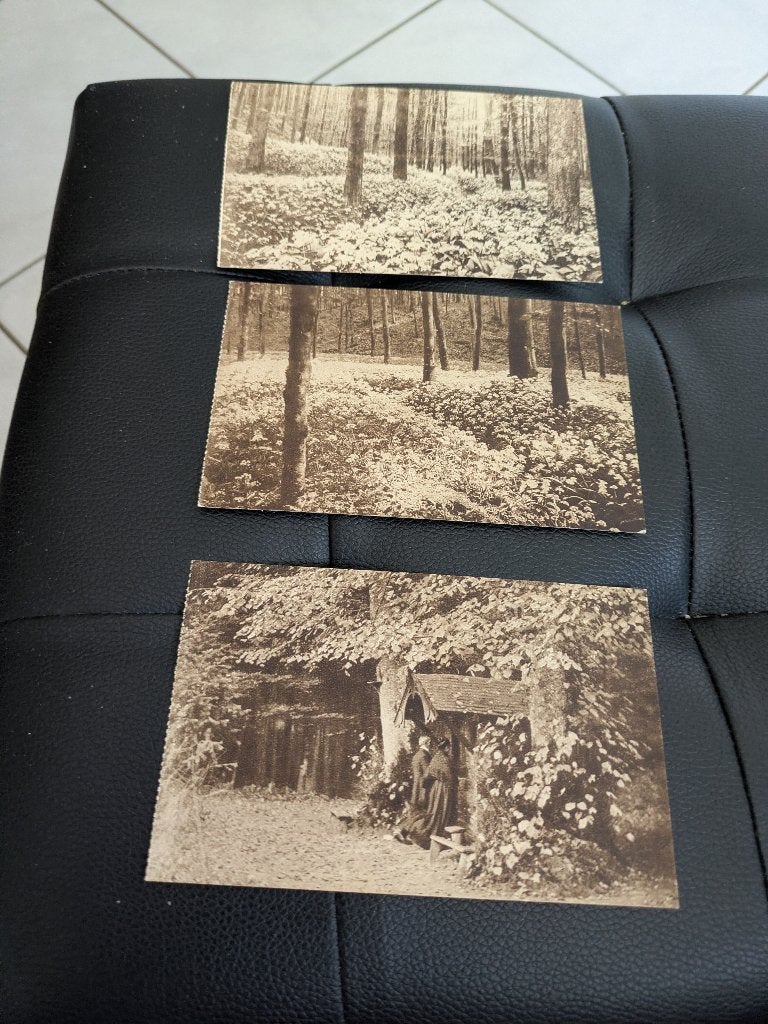 Foret de Soignes, Enlèvement ou Envoi, Non affranchie