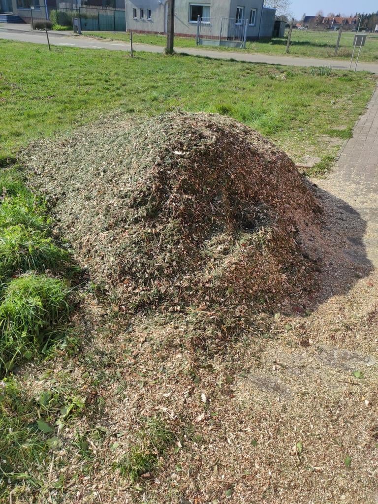 Gratis hakselhout af te halen in Termien Genk, Ophalen