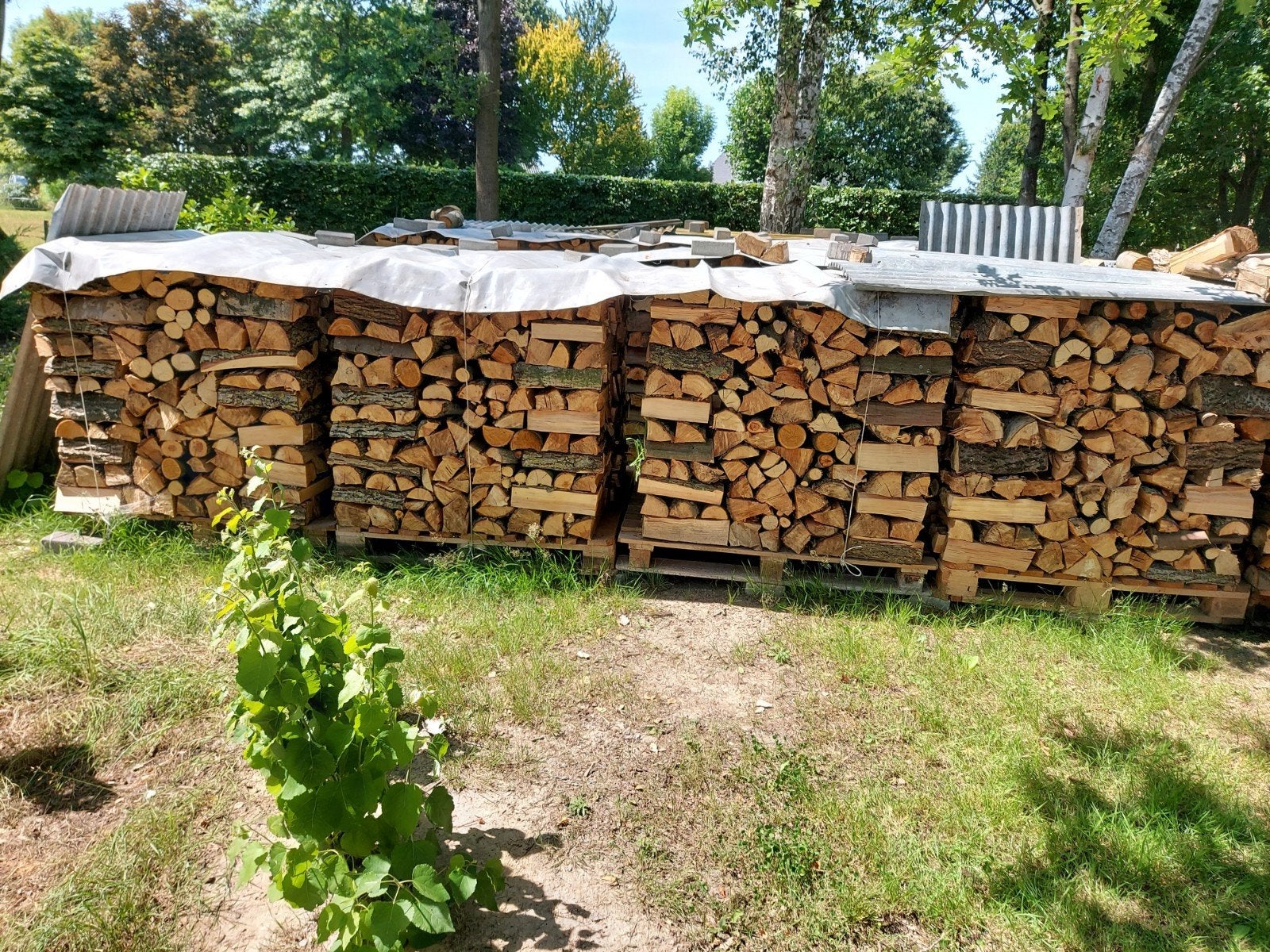 Brandhout gemengd, Ophalen