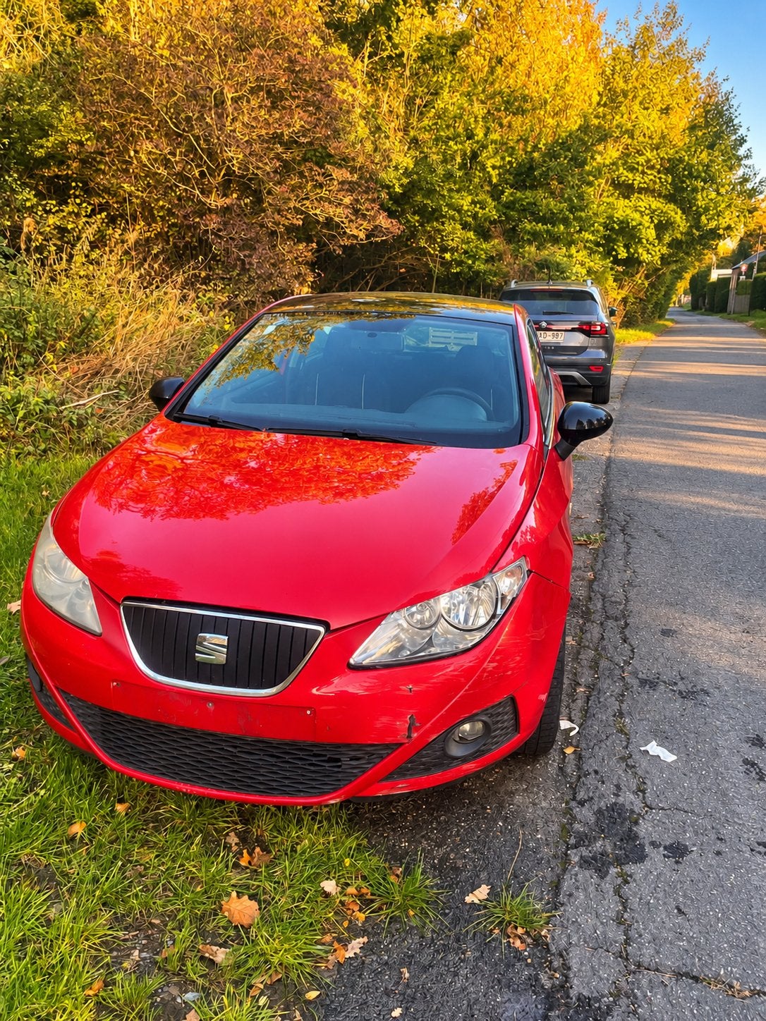 Seat ibiza 1.4 TDI, Autos, Achat, Ibiza, Diesel, Particulier
