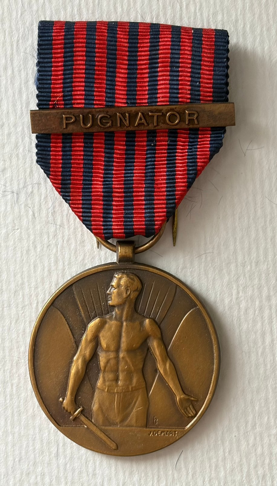 Médaille Pugnator, Enlèvement ou Envoi, Armée de terre, Ruban, Médaille ou Ailes