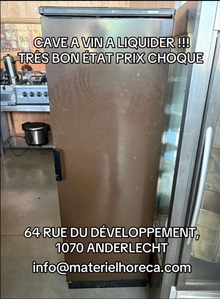 cave a vin, Enlèvement ou Envoi, Comme neuf