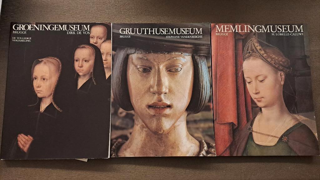 Museum gidsen Gruuthuse, Groeninge en Memling, Enlèvement