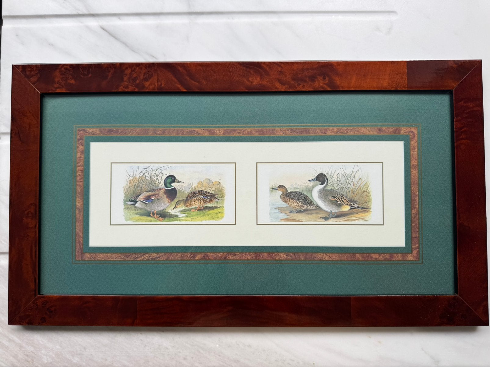 Set van 2 ingekaderde eendenprenten  – 45 x 25 cm, Ophalen of Verzenden