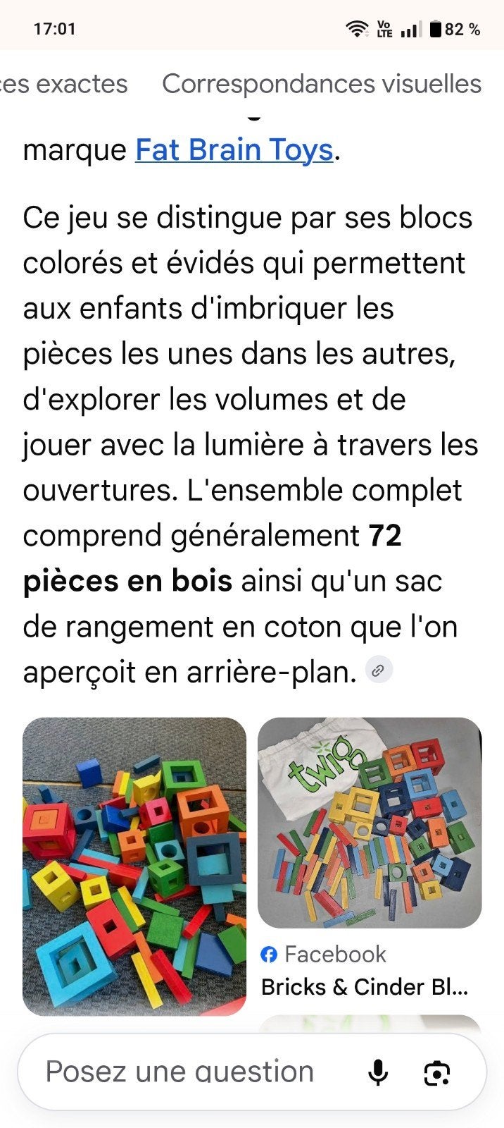 Bloc en bois Fat Brain Toys. 4ans et plus. 62pièces., Enlèvement, Comme neuf, Autres marques