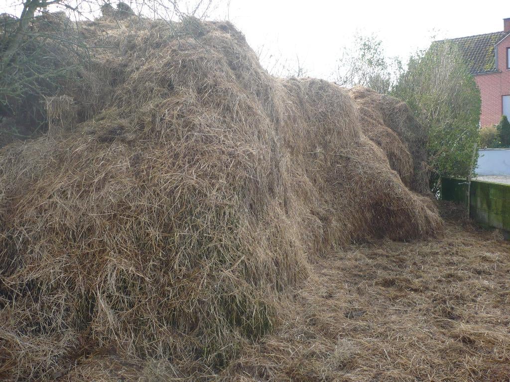 fumier de cheval gratuit rance canon, Enlèvement, Fumier