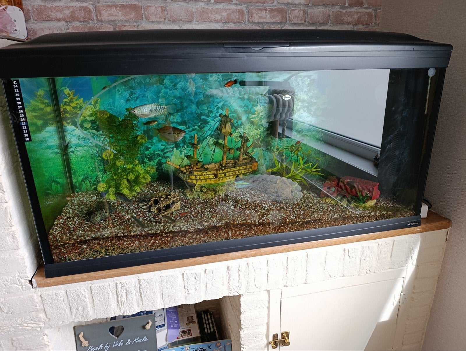 Aquarium, Dieren en Toebehoren, Ophalen