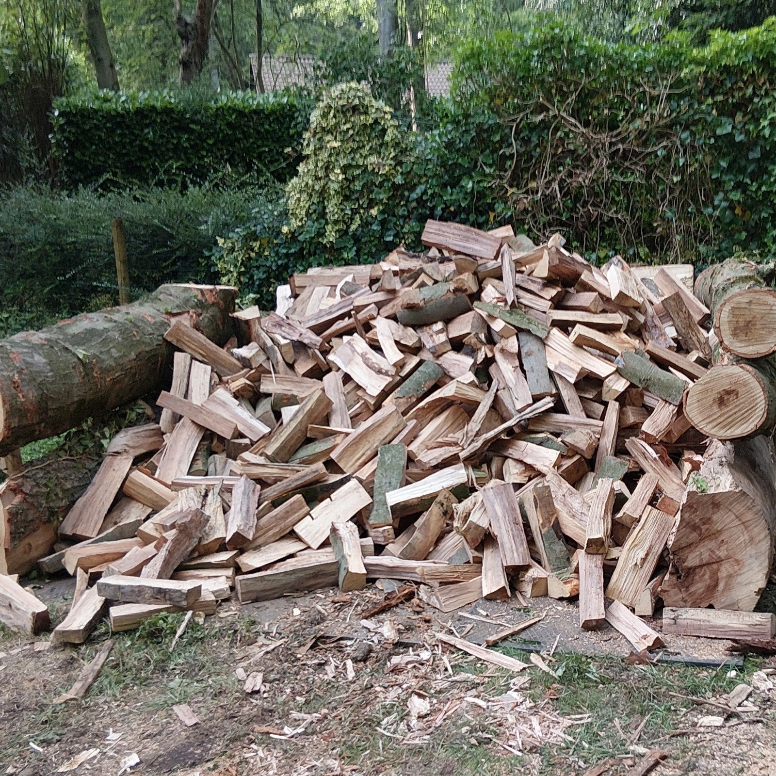 brandhout eik en beuk, Ophalen of Verzenden, Eikenhout, Blokken