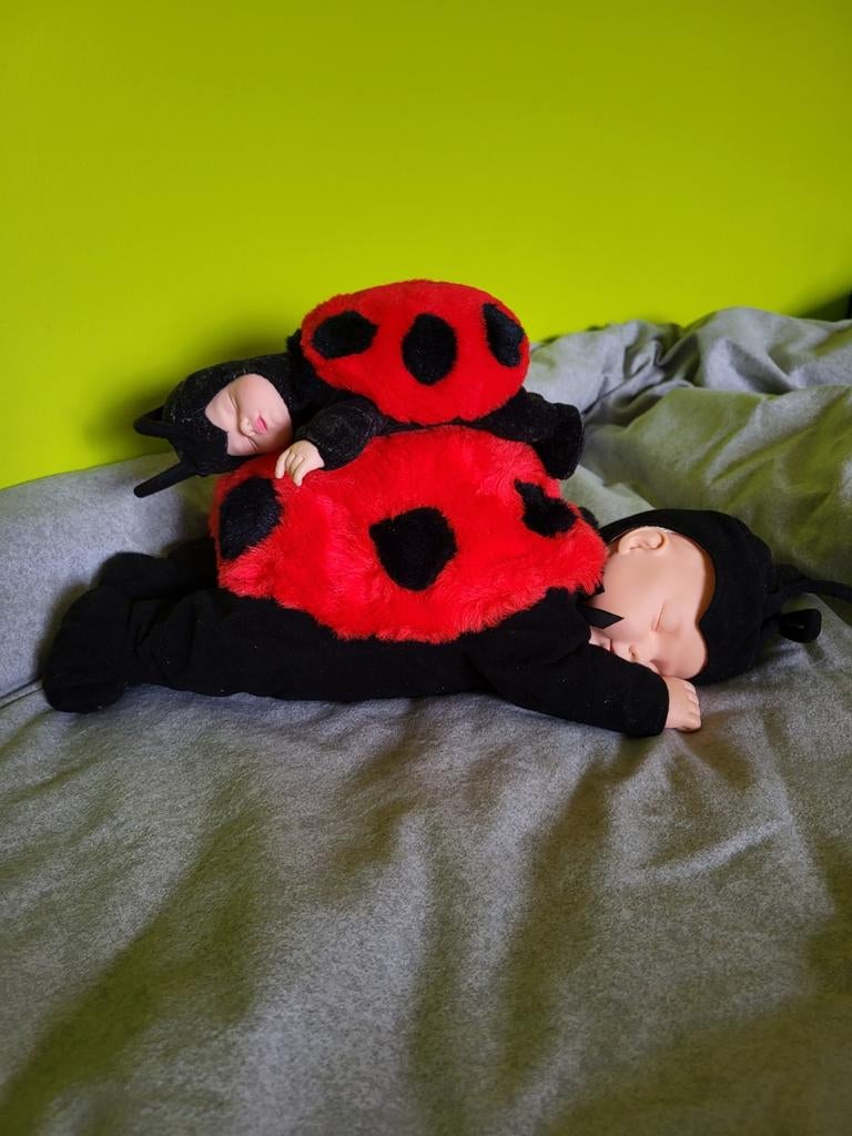 Anne Geddes lieveheersbeestjes, Ophalen