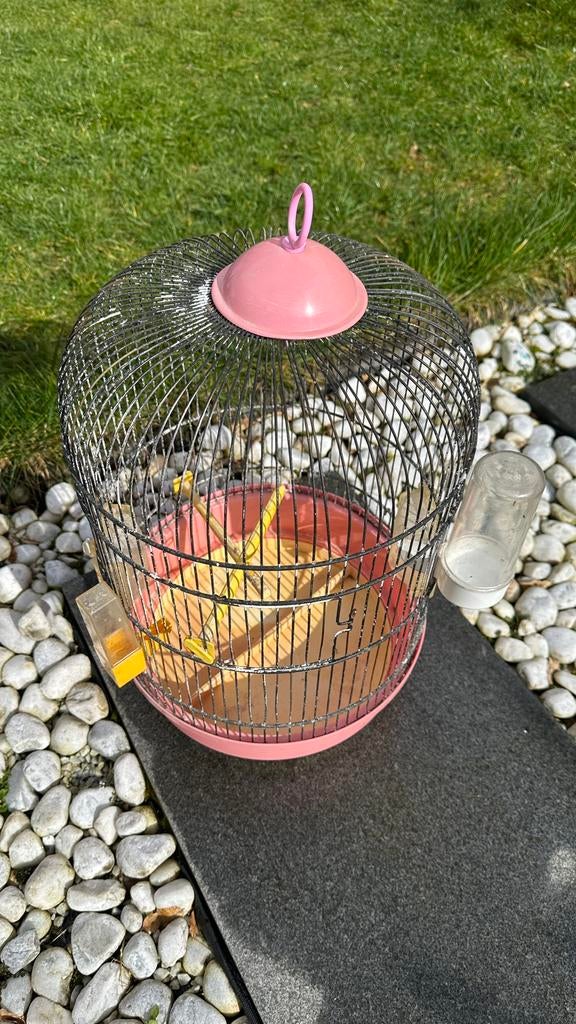 Vogelkooi, Ophalen, Gebruikt, Vogelkooi