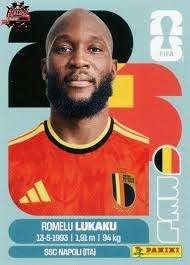 paninni sticker belgië, Ophalen, Zo goed als nieuw, Meerdere stickers