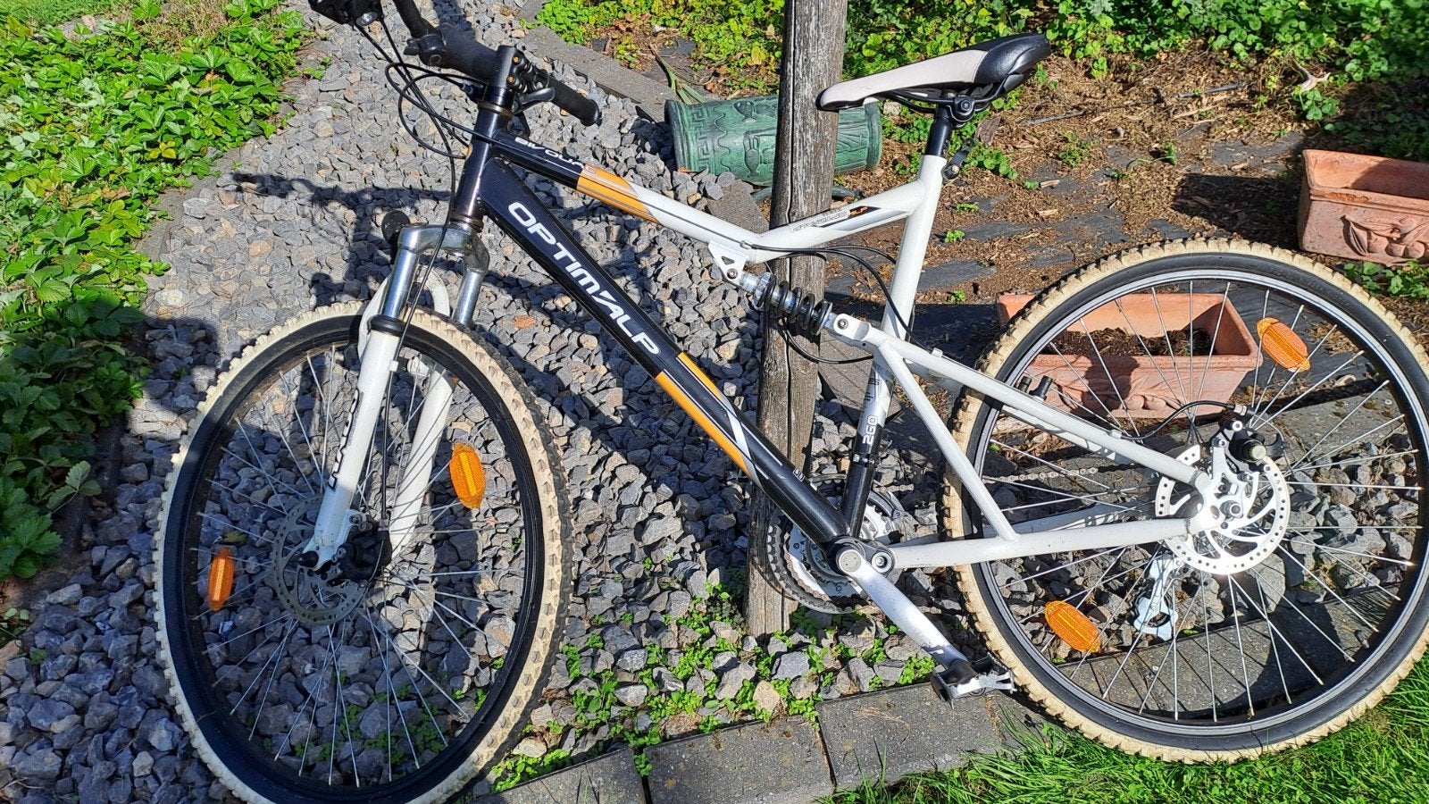 VTT Optimalp, Ophalen, Gebruikt, Heren, Overige merken
