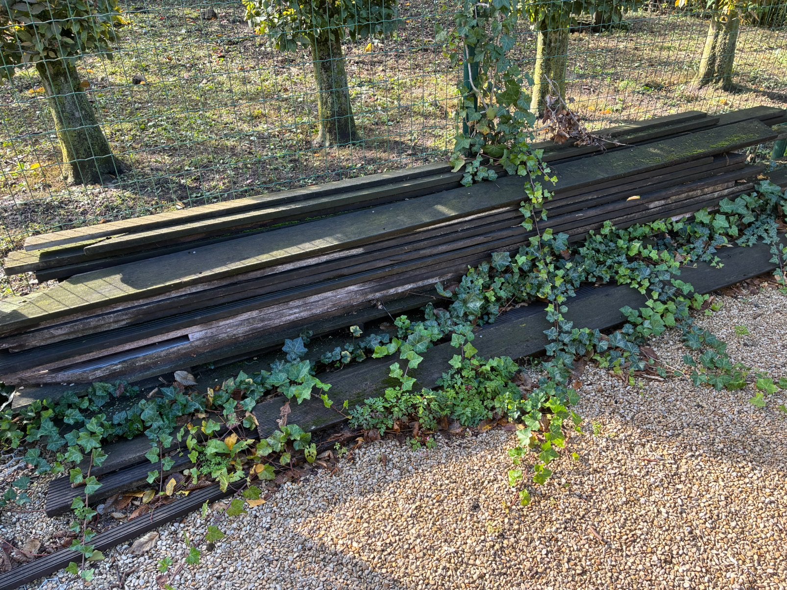 Bankirai, Jardin & Terrasse, Planches, Bois dur, Enlèvement, Utilisé