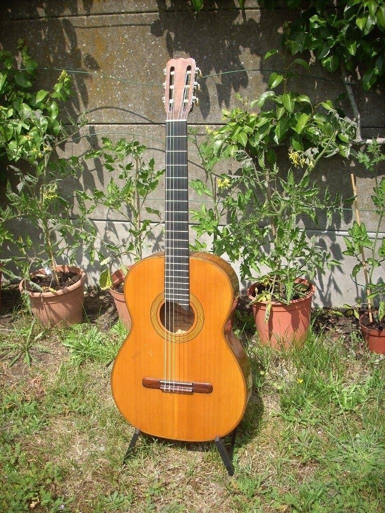 ancienne guitare classique L. Patenotte, Enlèvement