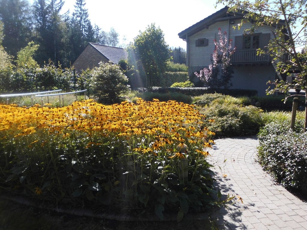 GRAND ET BEAU CHALET POUR 6 PERSONNES PRÈS DE DURBUY, Propriétaire, Montagnes ou collines, Campagne, 3 chambres à coucher