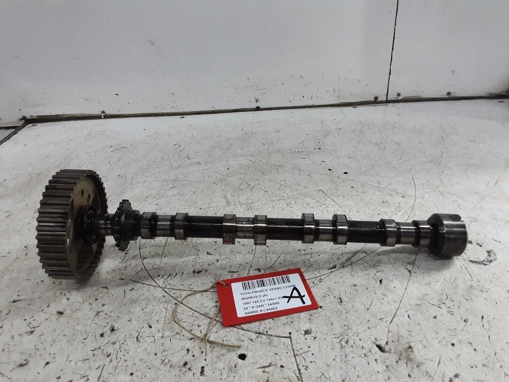 NOKKENAS Toyota ProAce Shuttle (01-2016/12-2023), Gebruikt, Mevr. I. Hauben, Toyota, Rue de l'Espoir 34 34
4030  GRIVEGNÉE, BE