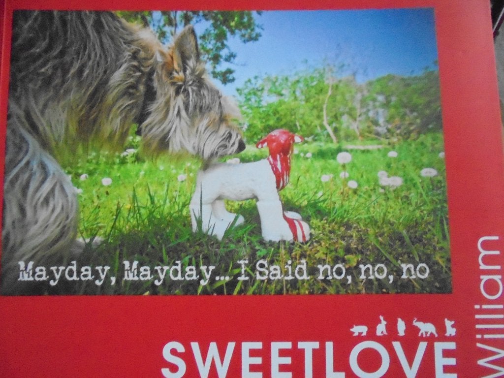 William Sweetlove  1   Monografie, Verzenden, Nieuw, Schilder- en Tekenkunst