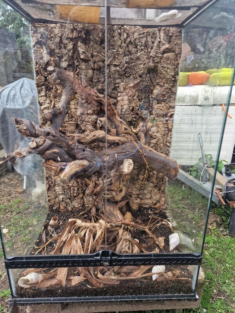 3 exo terra's, Dieren en Toebehoren, Ophalen