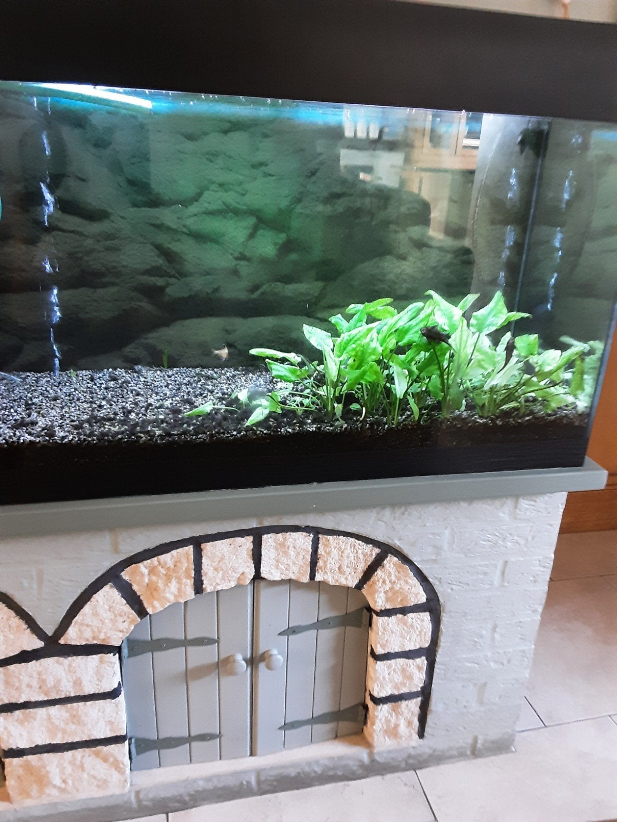 Te koop zoetwateraquarium van 200 liter met toebehoren., Ophalen, Inclusief vissen, Gebruikt, Grind, Zand of Voedingsbodem