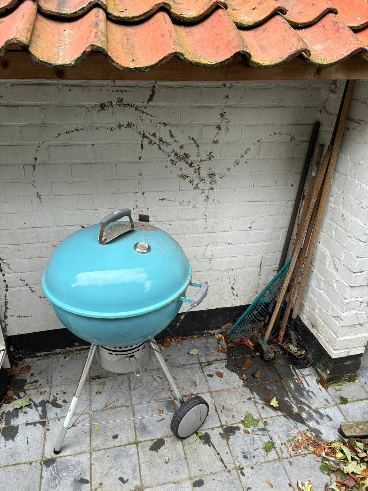 Weber BBQ, Jardin & Terrasse, Enlèvement, Utilisé