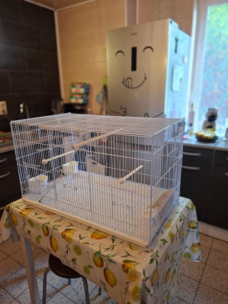 Grande cage, Dieren en Toebehoren, Vogels | Hokken en Kooien, Ophalen