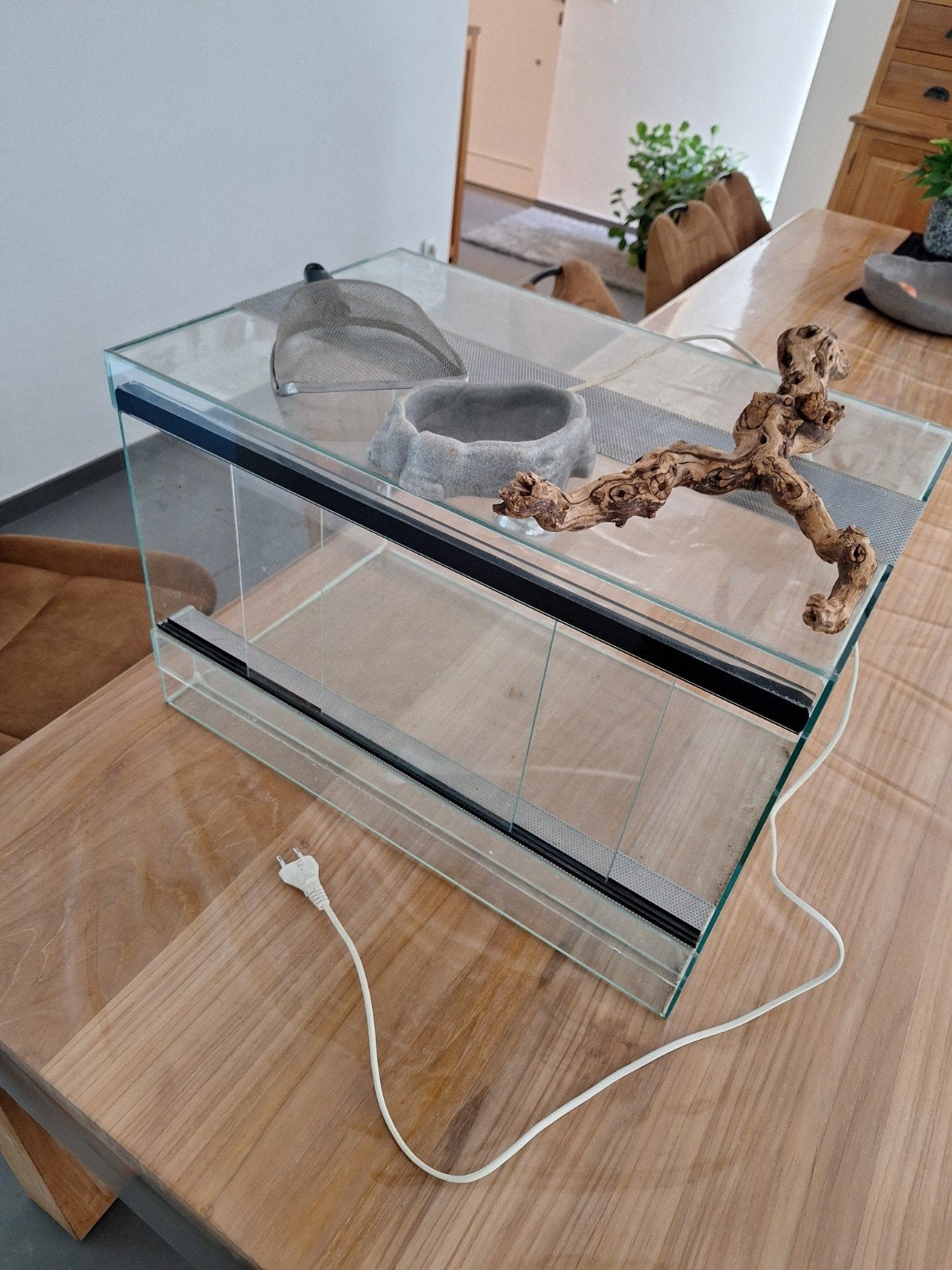 terrarium, Dieren en Toebehoren, Reptielen en Amfibieën | Toebehoren, Ophalen, Gebruikt, Terrarium of Paludarium