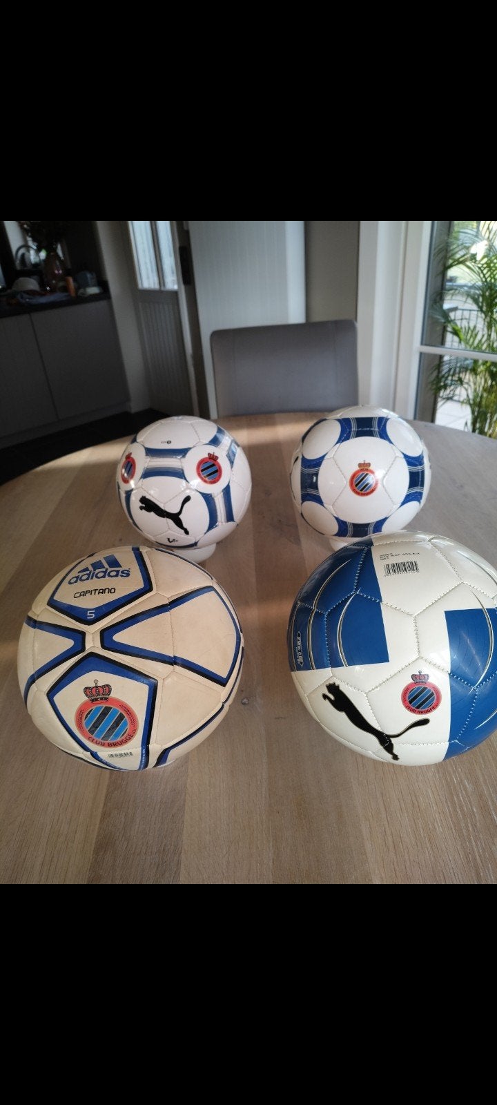 ballen club Brugge, Sports & Fitness, Enlèvement, Neuf