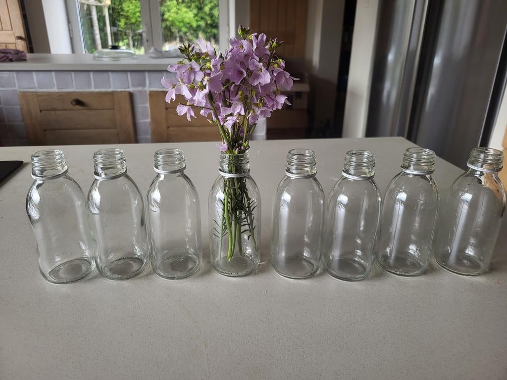 8 glazen vaasjes of flesjes

(5 euro samen), Ophalen of Verzenden