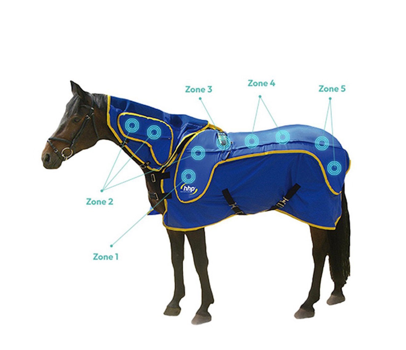 ANDUVET premium massagedeken voor paarden, Animaux & Accessoires, Chevaux